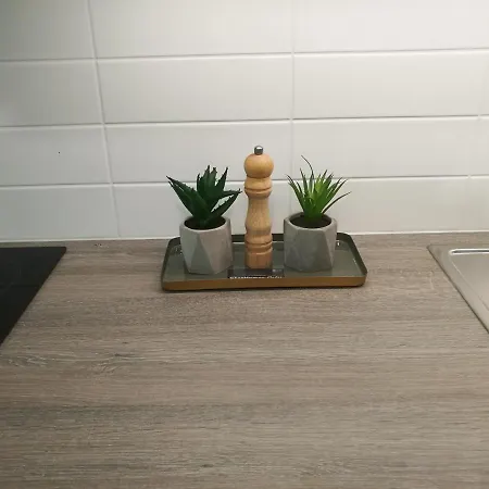 Appartement Starhomes Double Lux 8