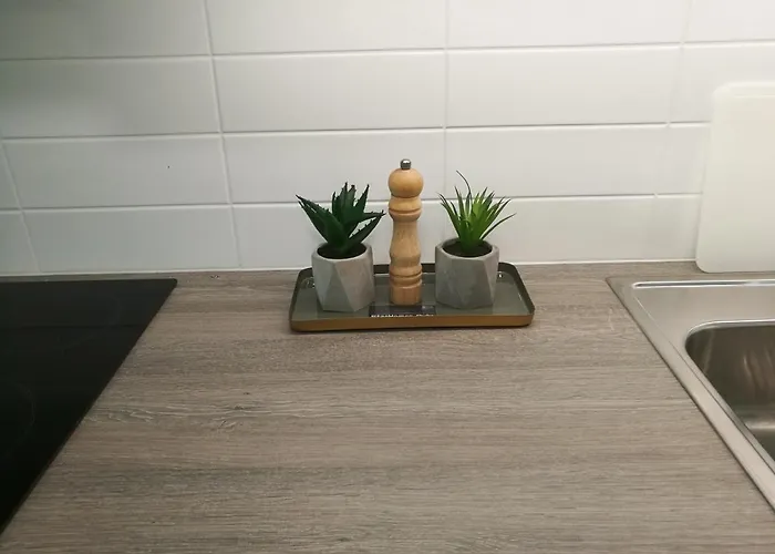 Διαμέρισμα Starhomes Double Lux 8